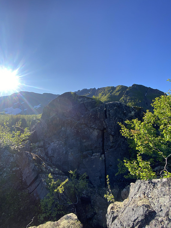 Blombak og søringen