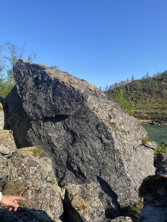 Blombak og søringen