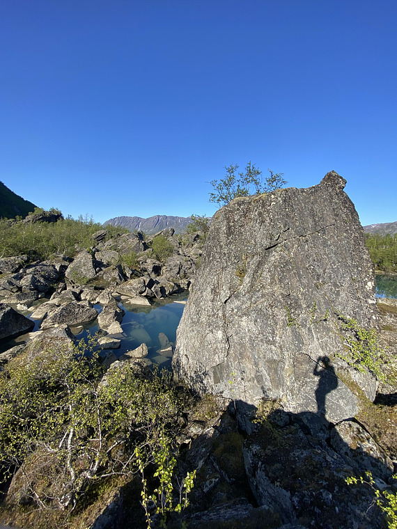 Blombak og søringen