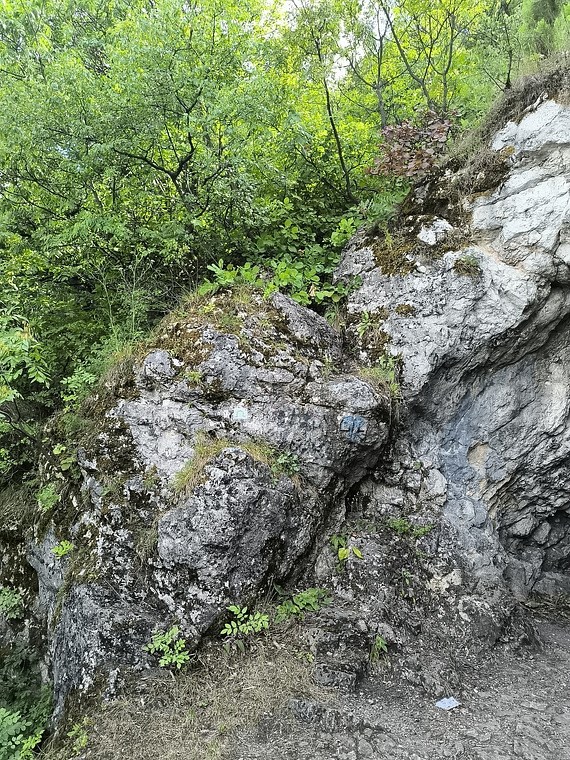 Tábor-Hegyi-Barlang