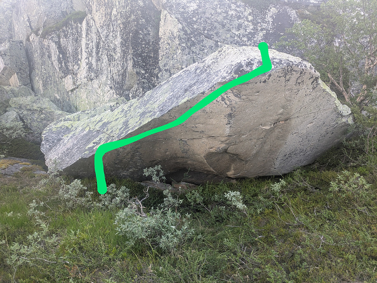 Langbukse ved middagsservering