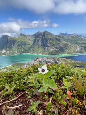 Vidar Olsson