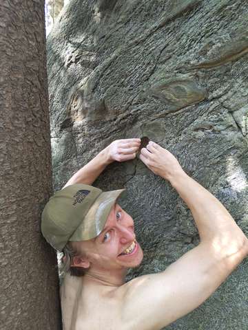 Aleksi Koponen