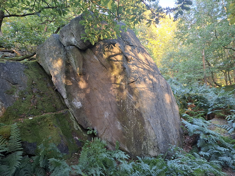 Lonely boulder
