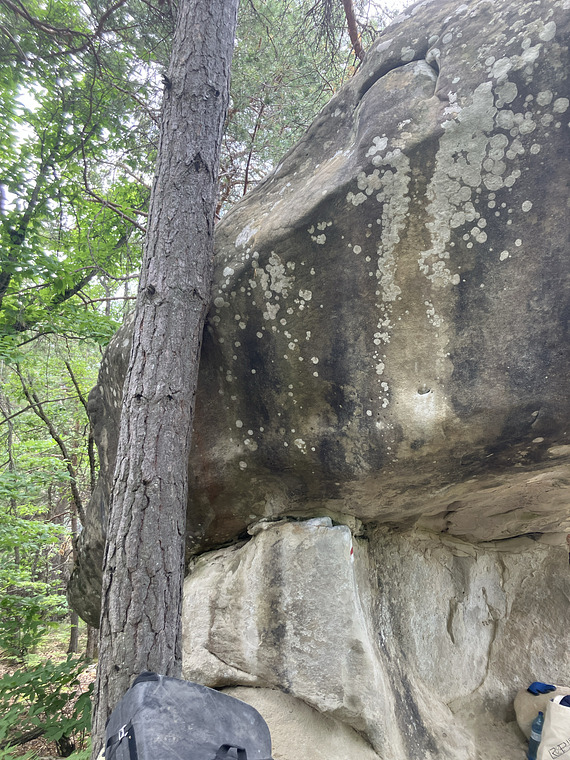 L' agence tout risque