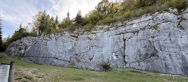 Fauconniere