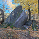 Hundreds of beavers thumbnail