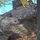 Between the trees thumbnail