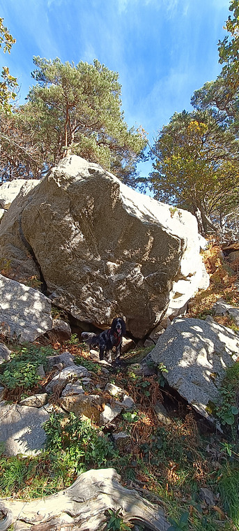 Southern Cross Boulder 