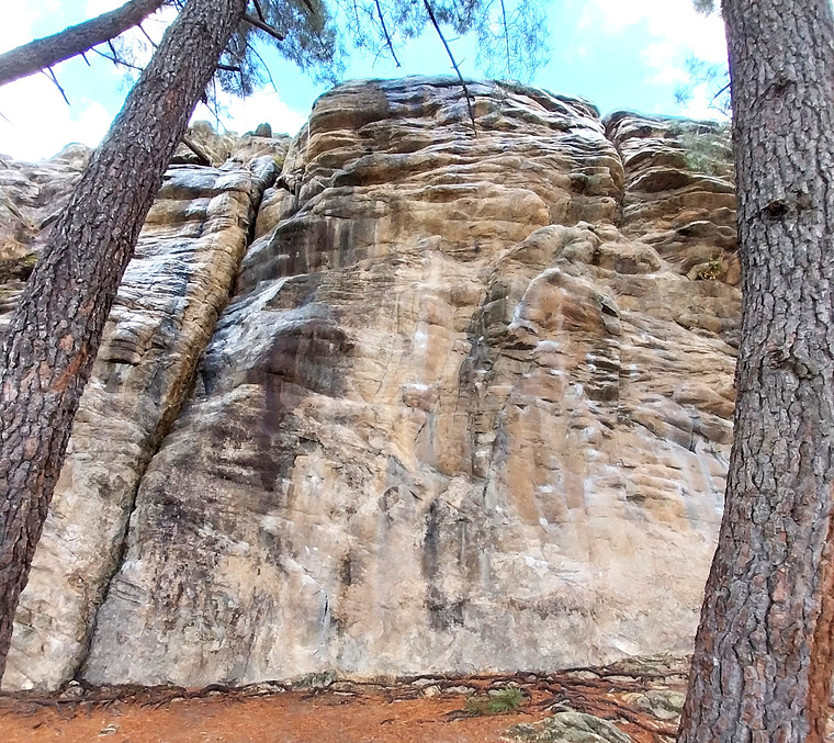 Quebrantaherraduras inferior