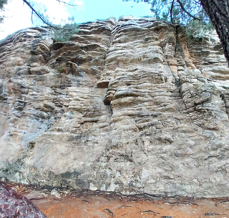 Quebrantaherraduras inferior