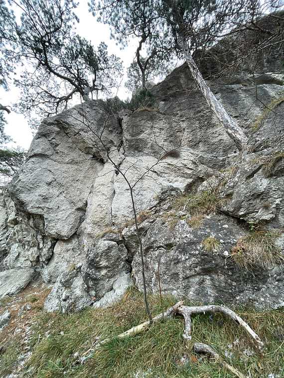Oberste Lausbubenwand