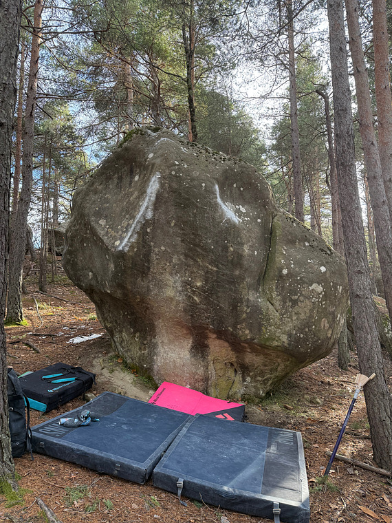 La saison des castagnes 