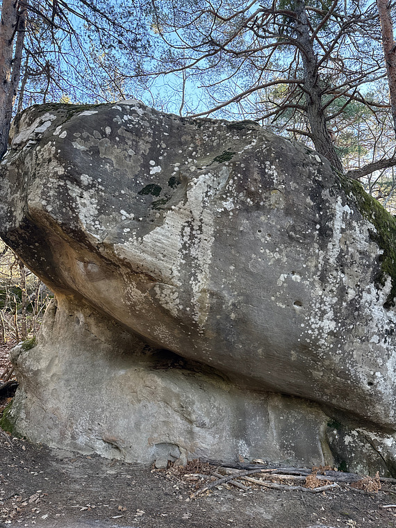 Tendu comme un string