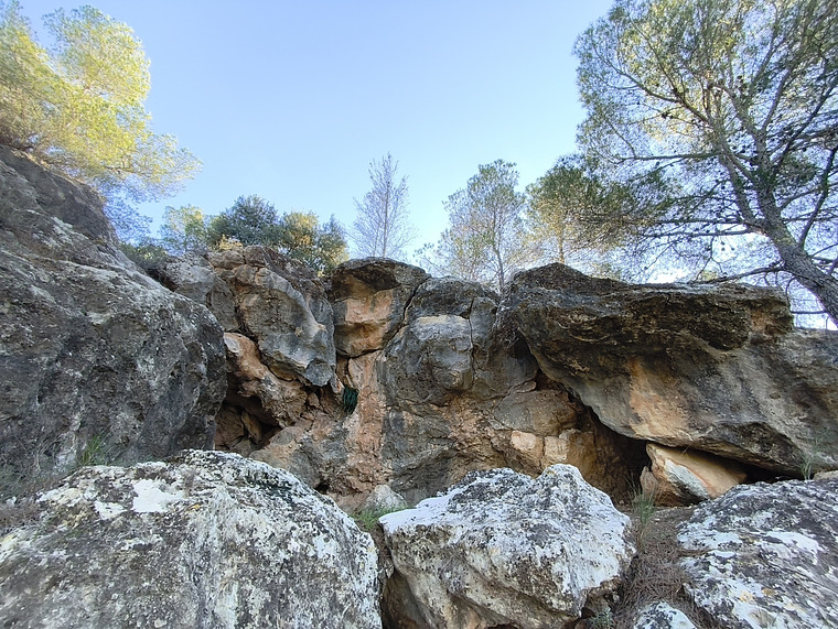 Primer sector (alto)