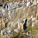 Assic on the rocks thumbnail