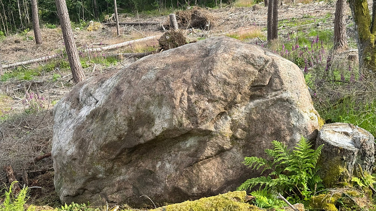 Shortcut Boulder