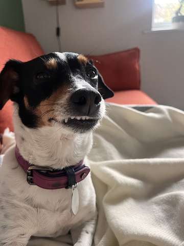 Juan O'Raw