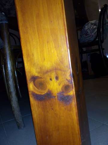Frosch Fresse