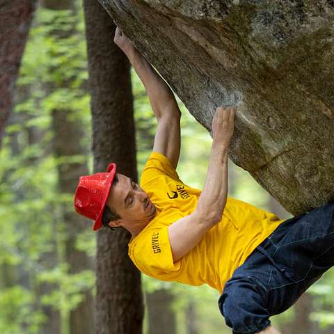 Dario Rota