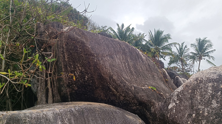 Mentawak turtle beach