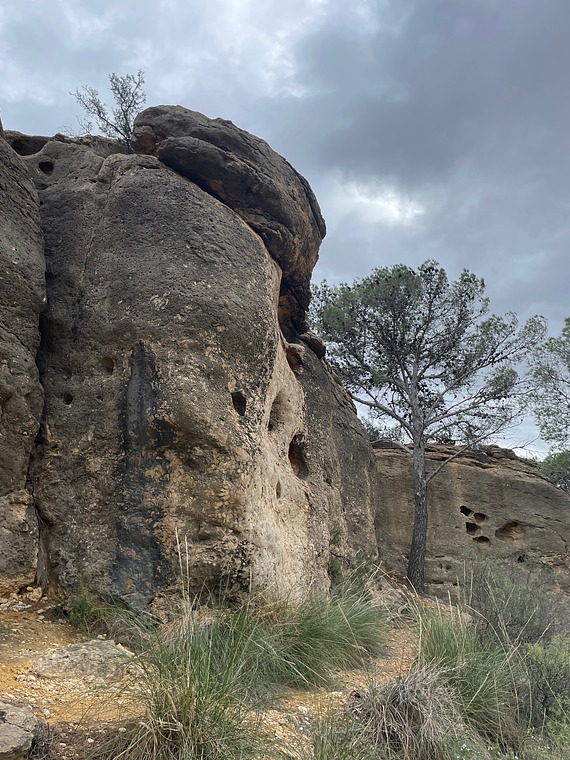NoName- Ya limpios por otras personas