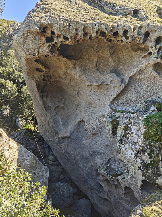 Fontana Caruledda Basso