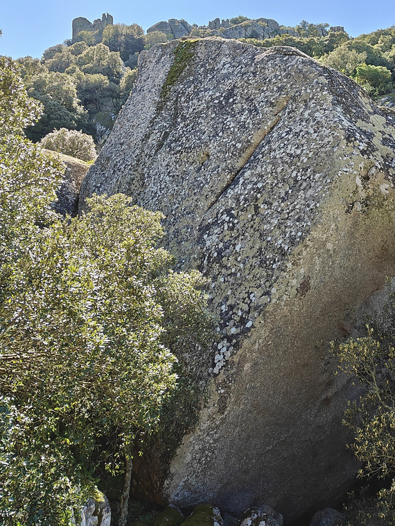 Fontana Caruledda Basso