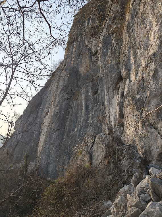 Pala del san martino 