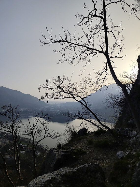 Pala del san martino 