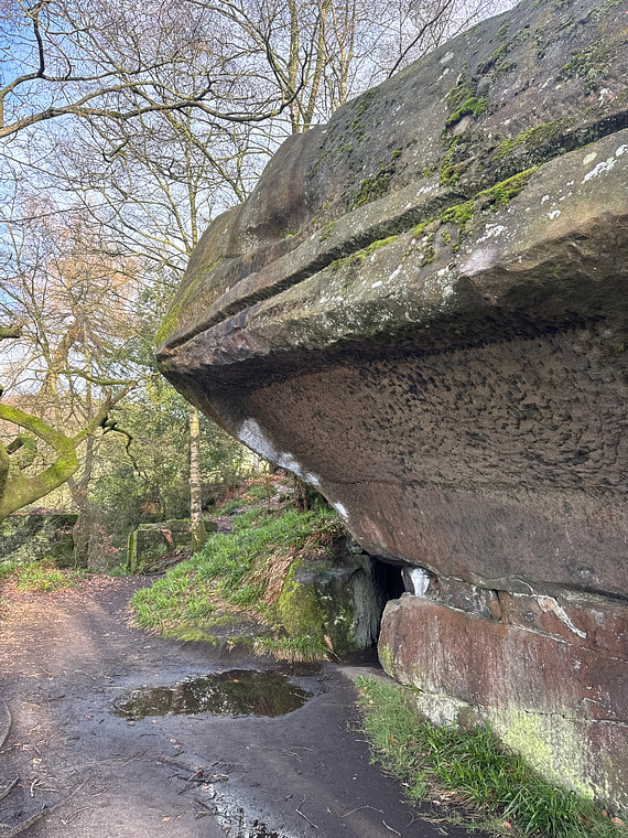 The yoghurt hypnotist