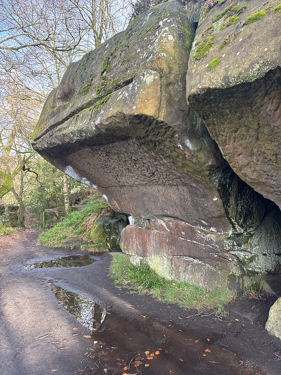 The yoghurt hypnotist