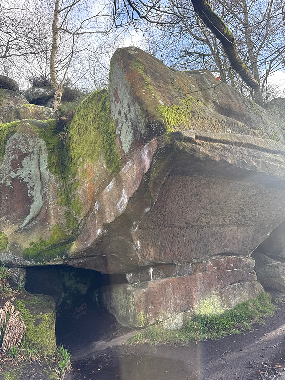 The yoghurt hypnotist