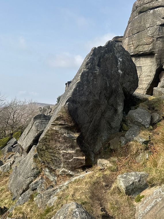 Hippocampus Leaning Block