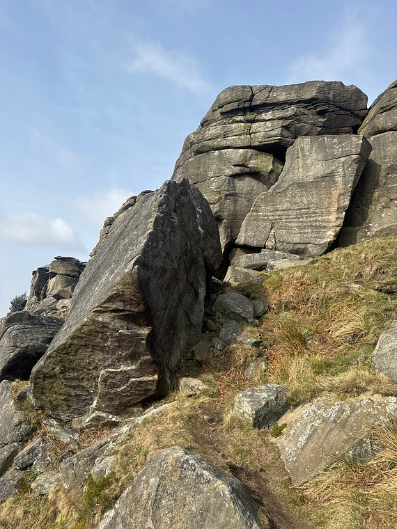 Hippocampus Leaning Block