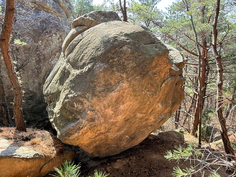 Bug Boulder