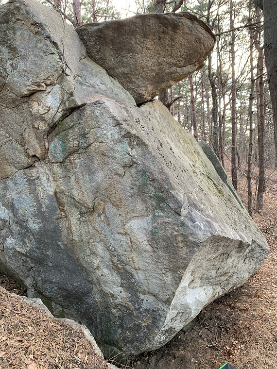 Beast Boulder