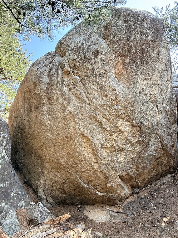 Boar Boulder