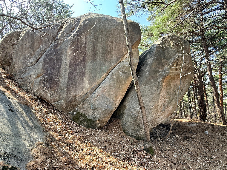 Boar Boulder