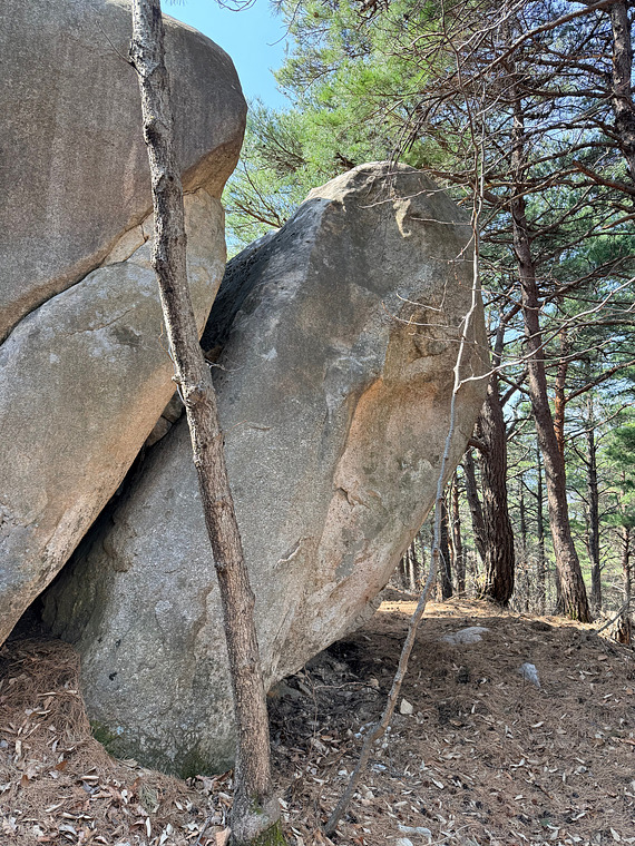 Boar Boulder