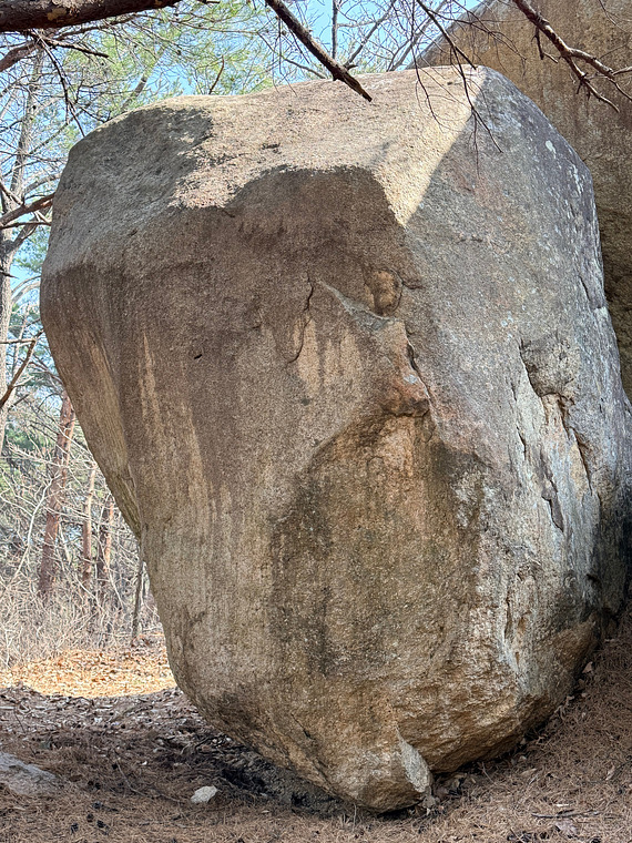 Boar Boulder