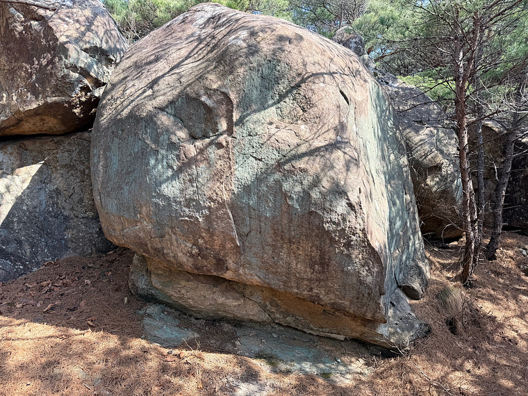 Amphibian Boulder