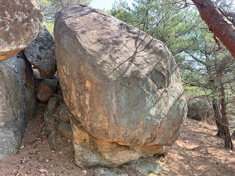 Amphibian Boulder