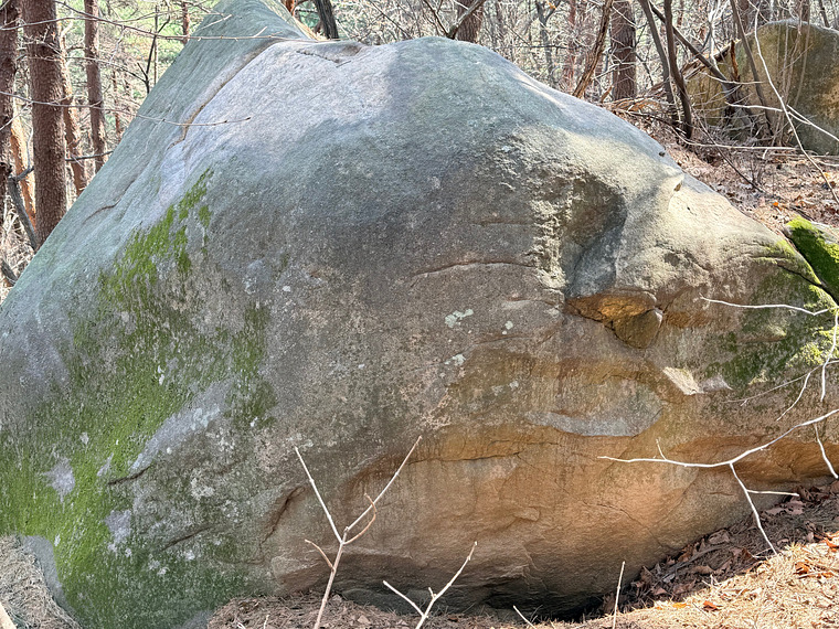Beetle Boulder