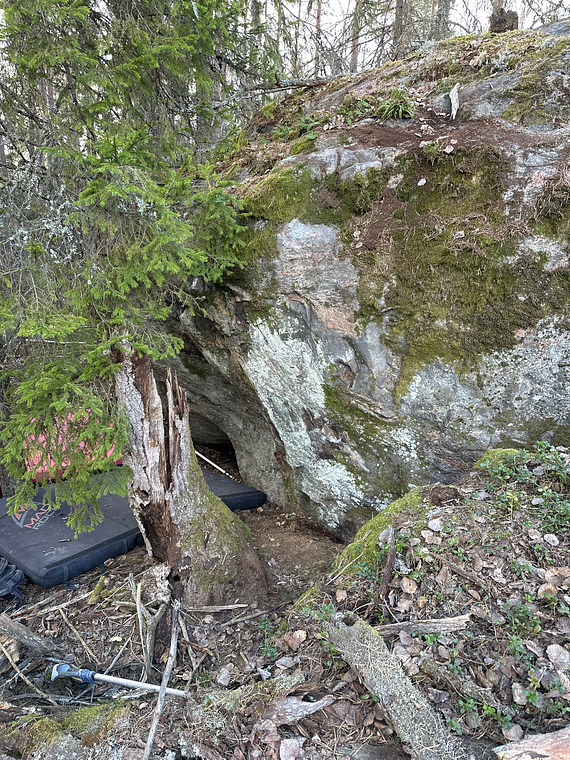 Skogen