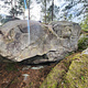 La tête de chien thumbnail