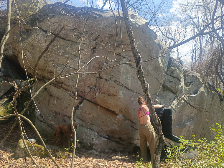 Pink Spot/Wheel of Time