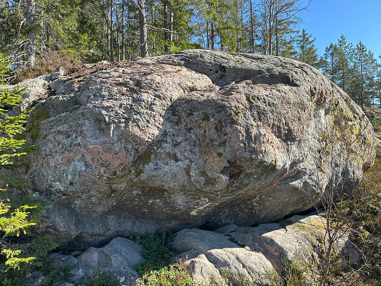 Korta bullen