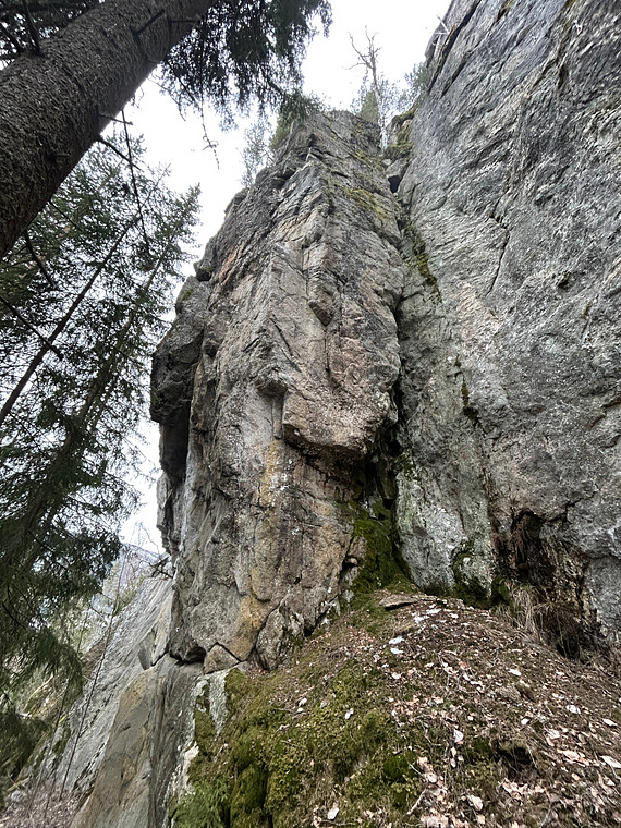 Hovedveggen oppe del 2