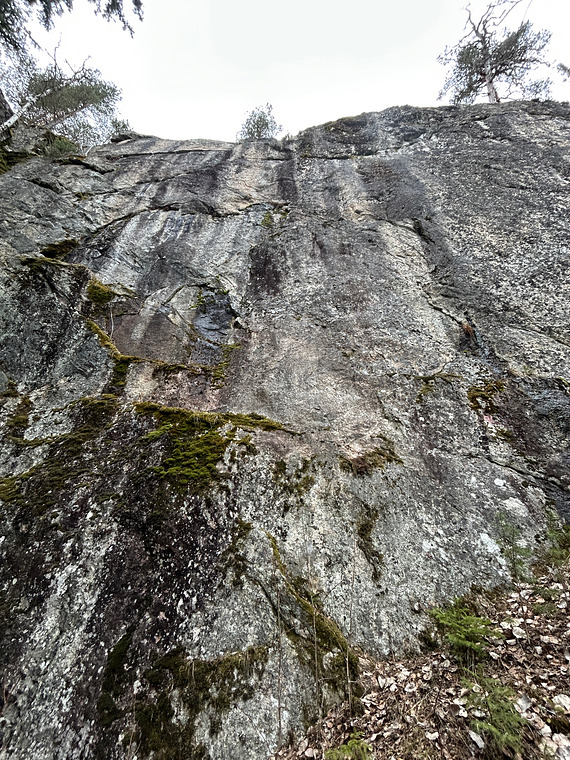 Hovedveggen oppe del 2